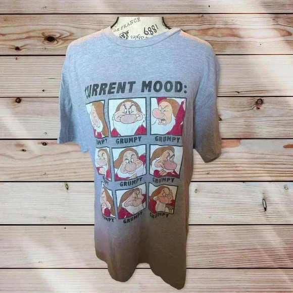 DISNEY LARGE GRAY T SHIRT WITH CURRENT MOOD - Picture 1 of 7